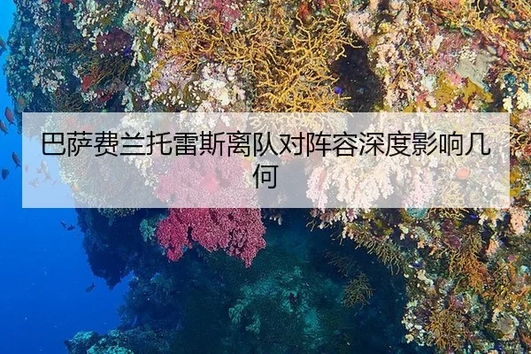 巴萨费兰托雷斯离队对阵容深度影响几何